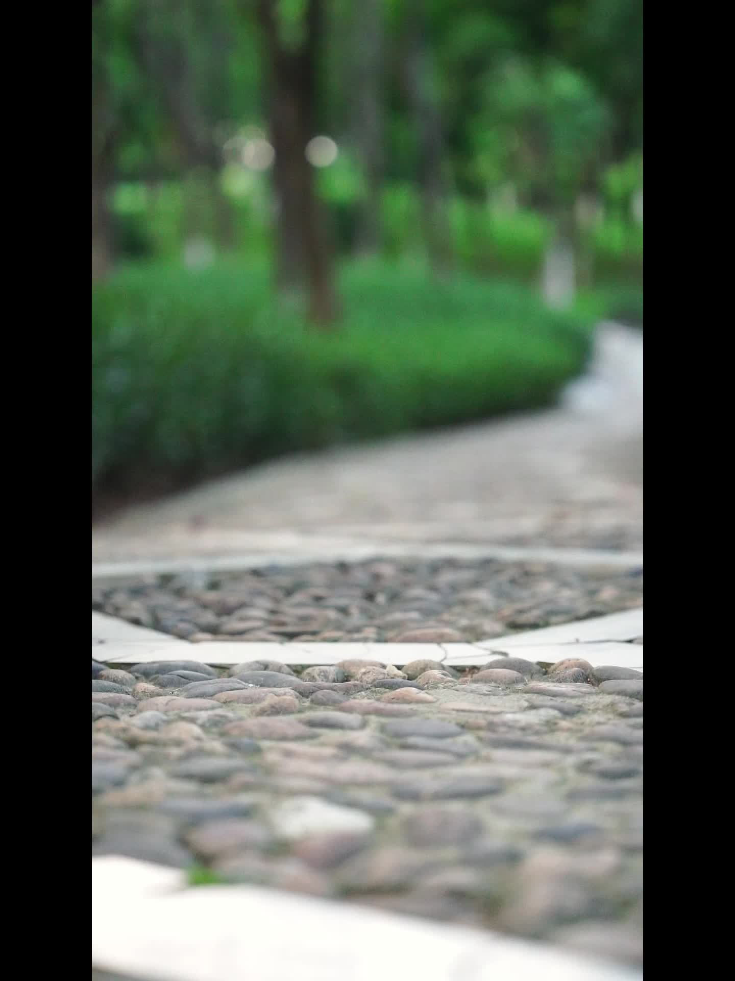 Men's Casual Outdoor Hiking Shoes for Ultimate Comfort